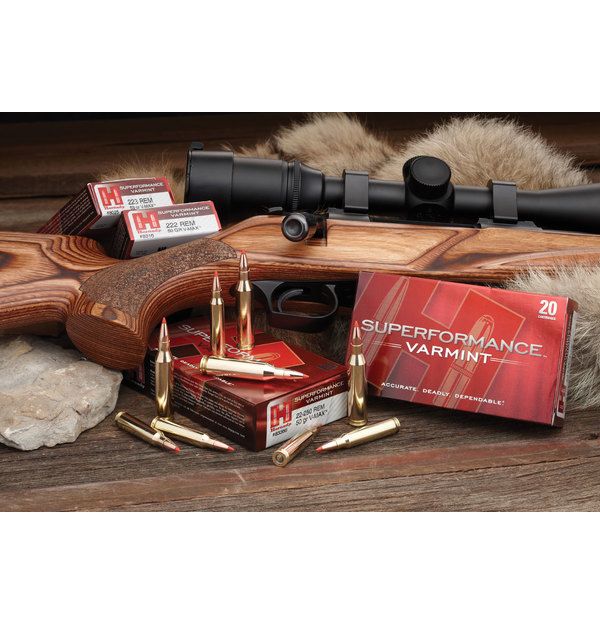 Hornady .243 Win 58gr V‑MAX SPF (20)