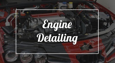 Engine Detailing Chemical &amp; Tools