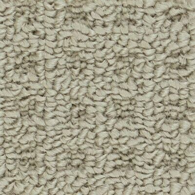 Beaulieu BOLORIA II 35oz Stainproof Carpet