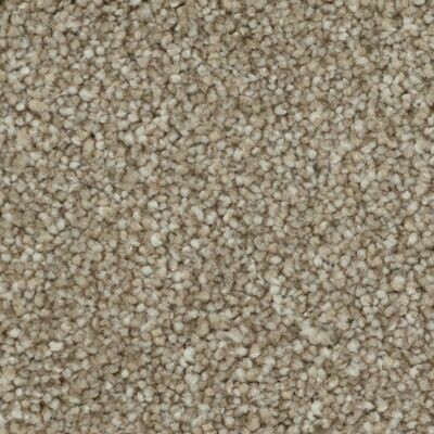 Beaulieu Calm Retreat 44oz Stainproof Carpet