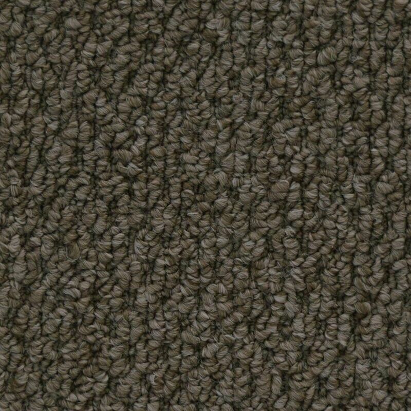 Beaulieu Cupido II 35oz Stainproof Carpet