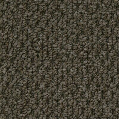 Beaulieu Cupido II 35oz Stainproof Carpet