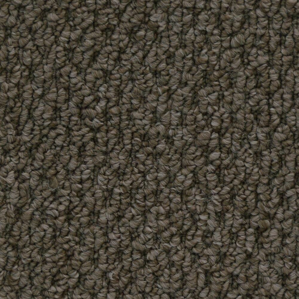 Beaulieu Cupido II 35oz Stainproof Carpet, Colour: Bistre Brown