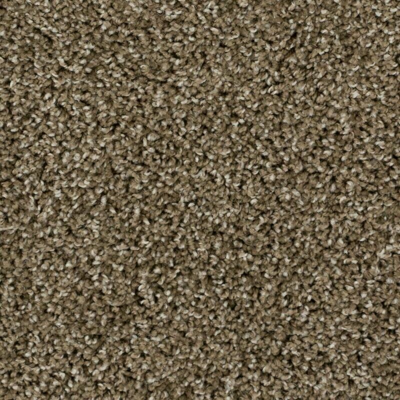 Beaulieu High Five 30oz Stainproof Carpet