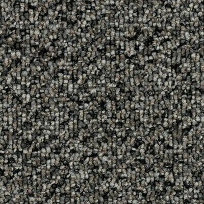 Beaulieu Honor 28oz Stainproof Carpet