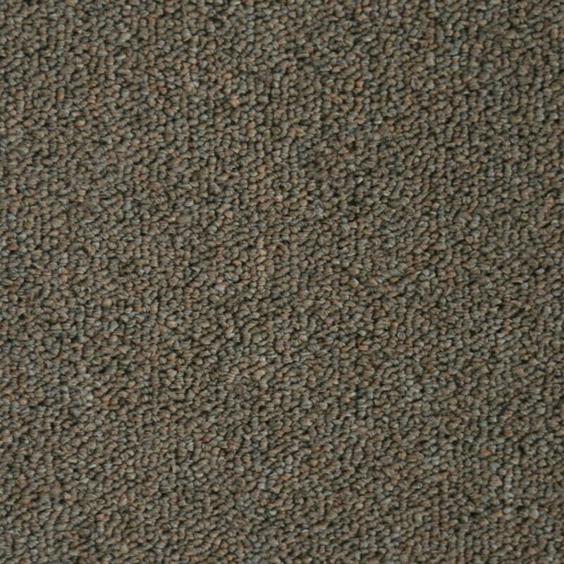 Beaulieu  Invasion IV 20 20oz Stainproof Carpet
