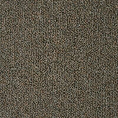 Beaulieu  Invasion IV 20 20oz Stainproof Carpet