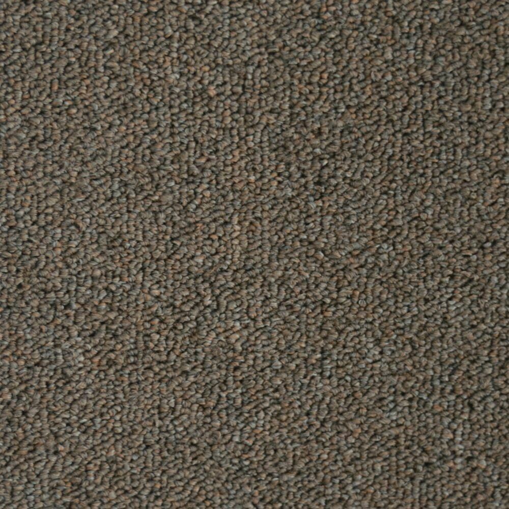 Beaulieu  Invasion IV 28 28oz Stainproof Carpet, Colour: Arizona Sand