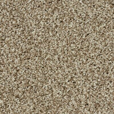 Beaulieu Mulan III 60oz Stainproof Carpet