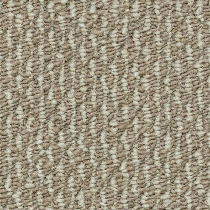 Beaulieu Nostalgia 28oz Stainproof Carpet