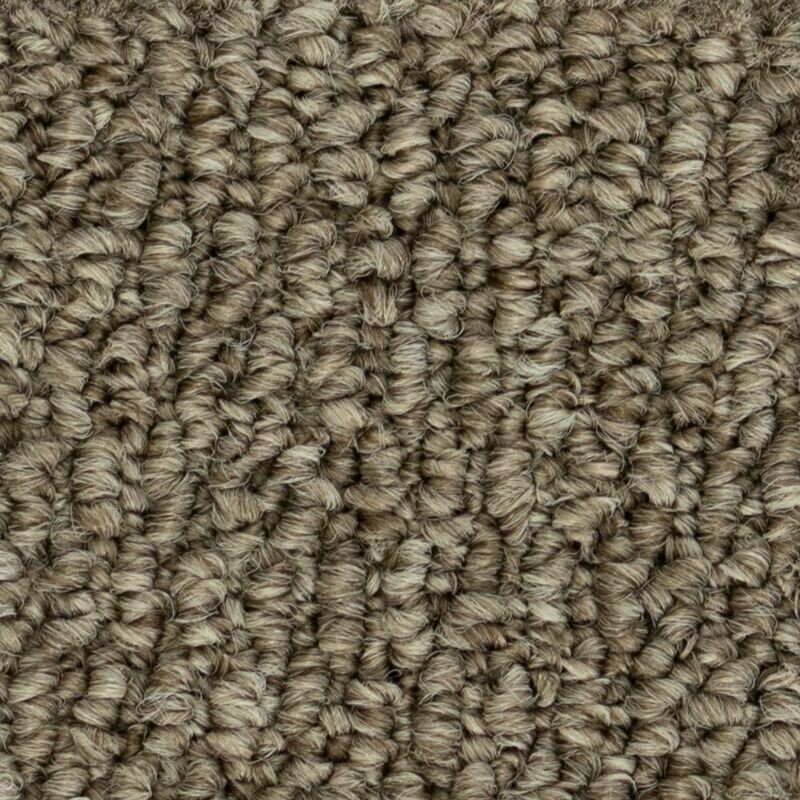 Beaulieu Papilio II 35oz Stainproof Carpet