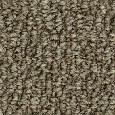 Beaulieu Papilio II 35oz Stainproof Carpet