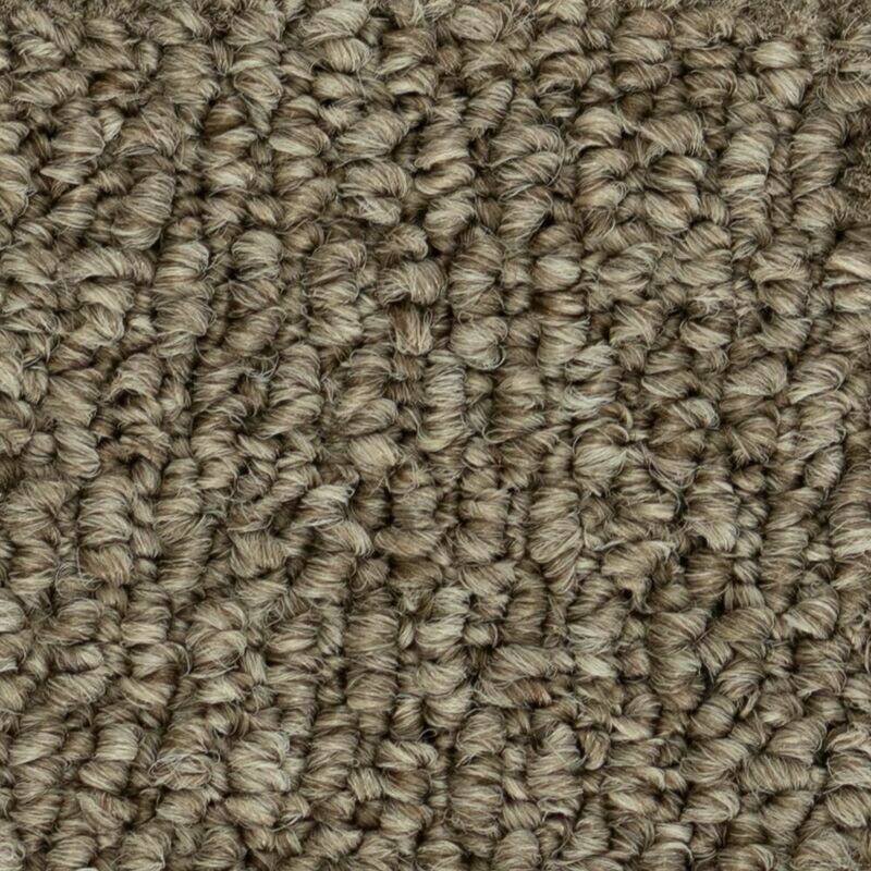 Beaulieu Papilio II 35oz Stainproof Carpet, Colour: Bistre Brown