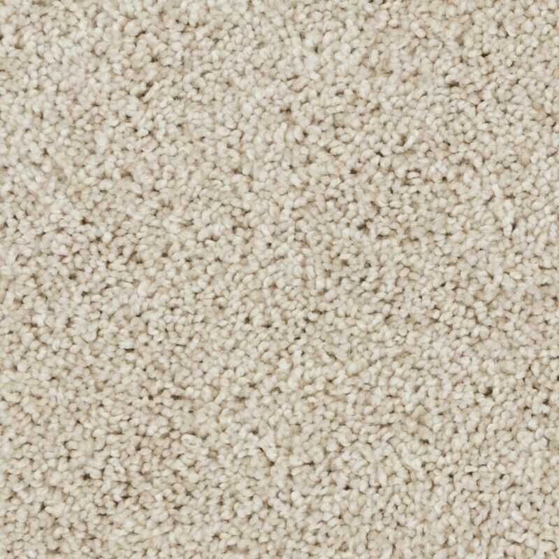 Beaulieu Peak Point 25oz Stainproof Carpet