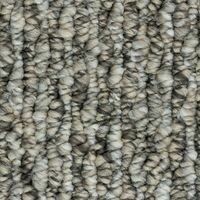 Beaulieu Portrait 44oz Stainproof Carpet