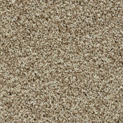 Beaulieu Santiago III 80oz Stainproof Carpet