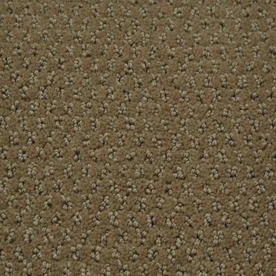 384 sq ft roll Beaulieu Peaceful 40oz Scotchgard Carpet 384 sq ft roll Beaulieu Peaceful 40oz Scotchgard Carpet