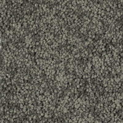 Beaulieu silky glimmer REMNANT 120 sq ft