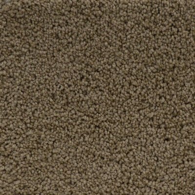 168 sq ft roll Beaulieu Flannel Touch 40oz Scotchgard Carpet 168 sq ft roll Beaulieu Flannel Touch 40oz Scotchgard Carpet