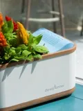 Dewplanter