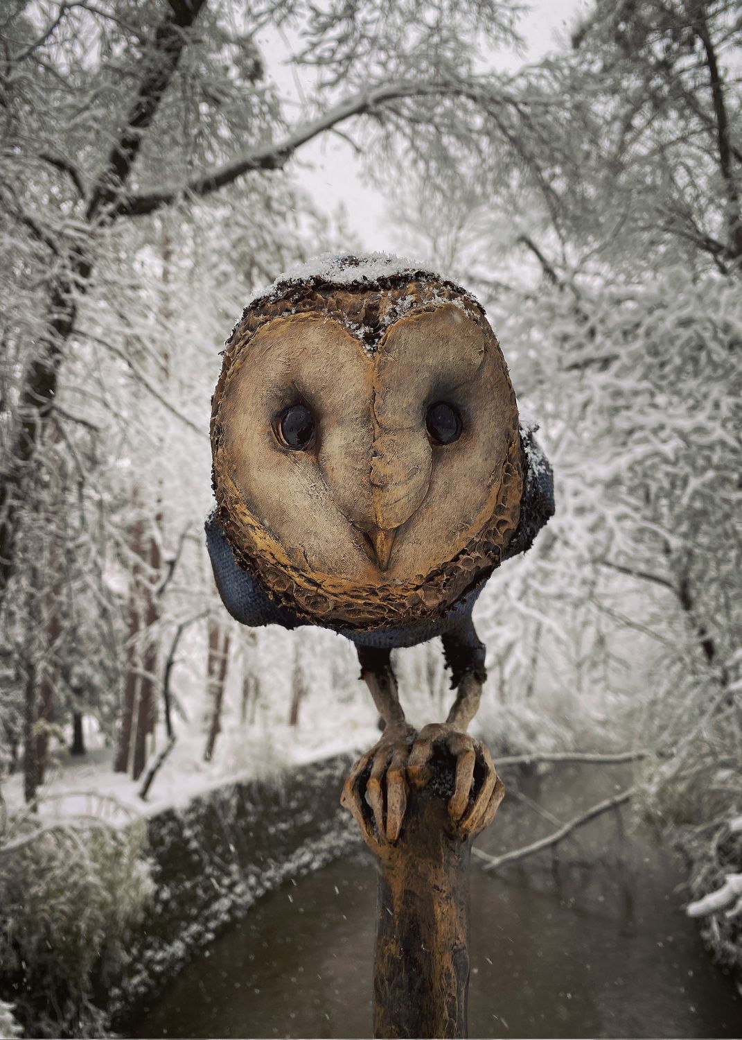 Hand Signed Bhava Owl
