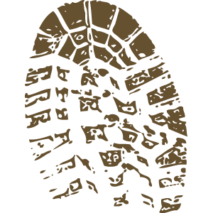 (2025 LOP) 5355 Tire Track Imprint Evidence