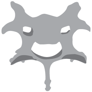 5511 Sex Estimation - Pelvic Morphology Test (2026)