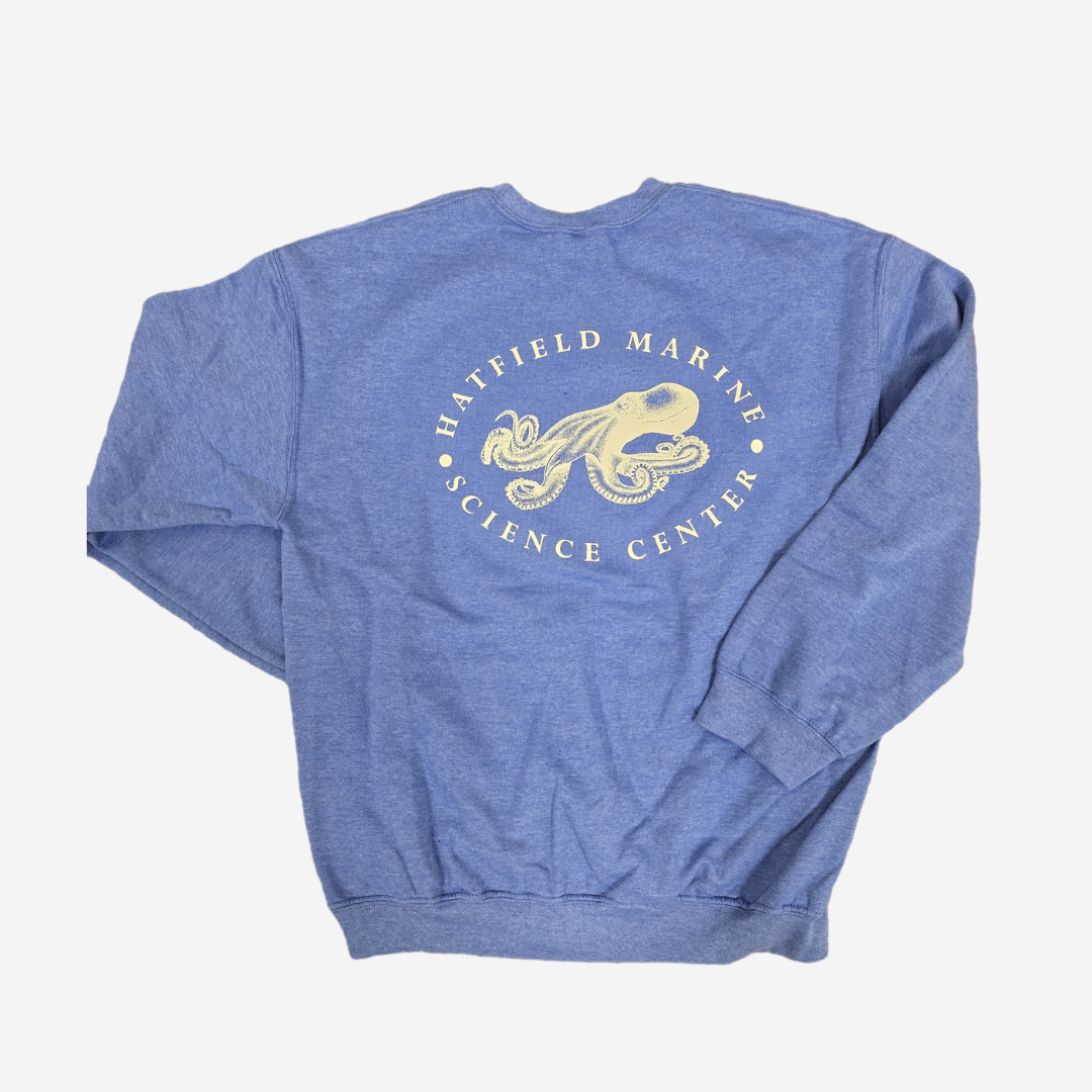 HSO Blue Crewneck
