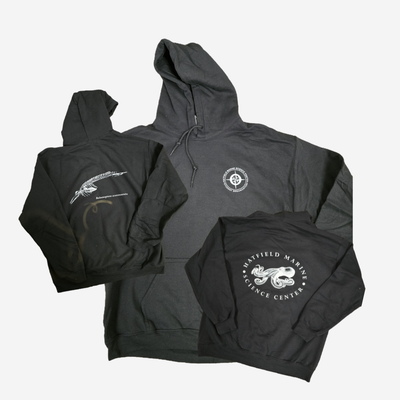 HSO Hoodies (2 Designs)