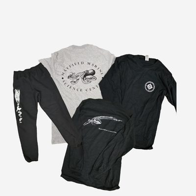Tshirts and Sweatpants