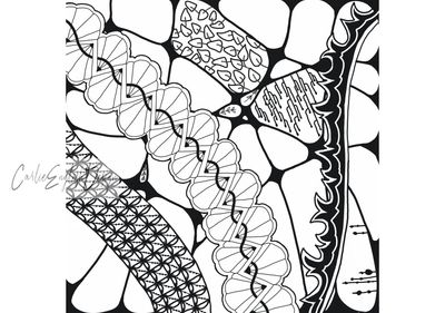 Zentangle colouring pattern.