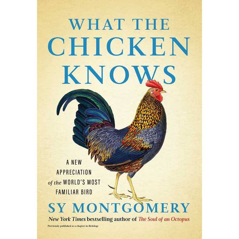What the Chicken Knows
