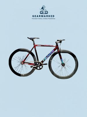 Tsunami snm100 full bike