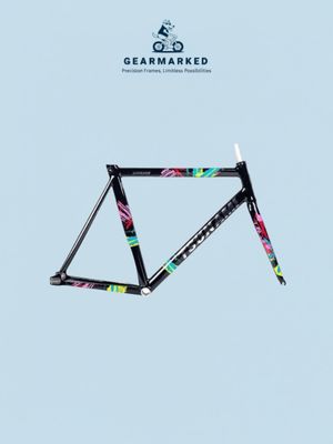 Tsunami snm 300 frameset