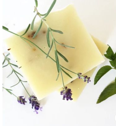 Fern + Nettle Bar Soap (Handcrafted in Milwaukee)