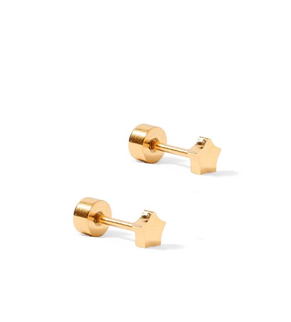 Linny Co Screwback Stud - Stella