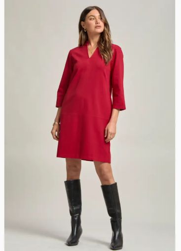 Magic A-Line Dress (Red)