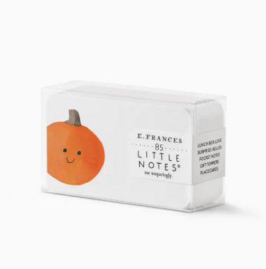 Jack-O-Lantern Little Notes® | Halloween Mini Notes