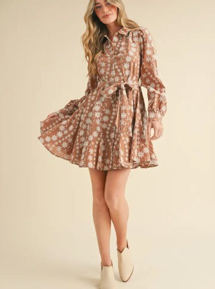 Floral Embroidery Button Down Flared Mini Dress