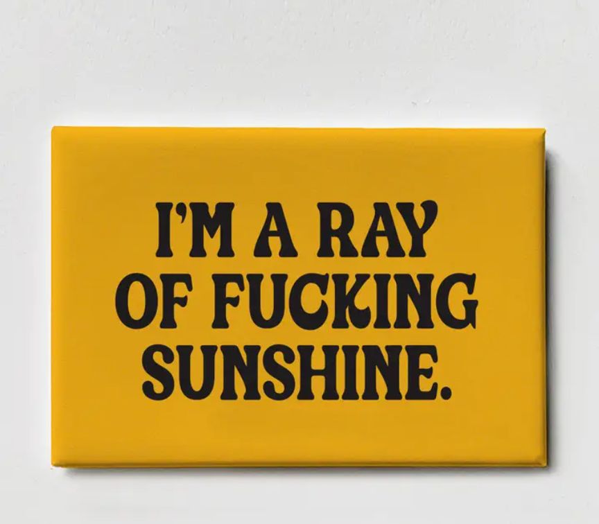 I'm A Ray of Fucking Sunshine - Magnet