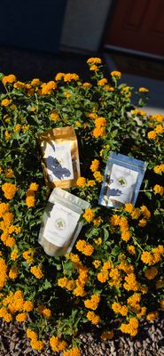 🌱🌾🪻⚘️🌼Healing Teas