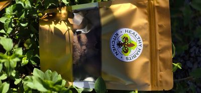 🍪Soft Baked Cookies