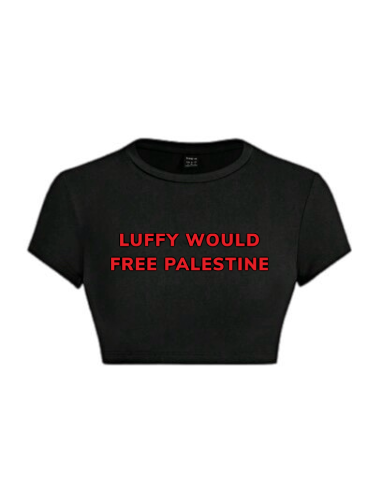 Luffy Would Free Palestine Crop Top