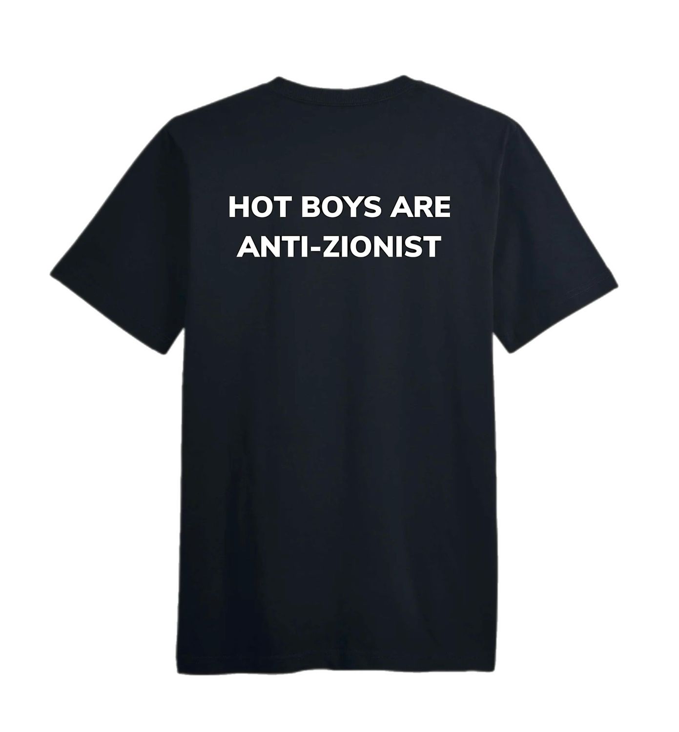 Hot Boys Are Anti-Zionist Heavy Tee