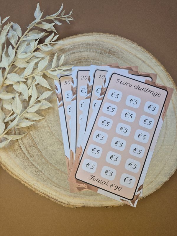 Briefgeld challenge bundel bruin (€5, €10, €20 en €50)