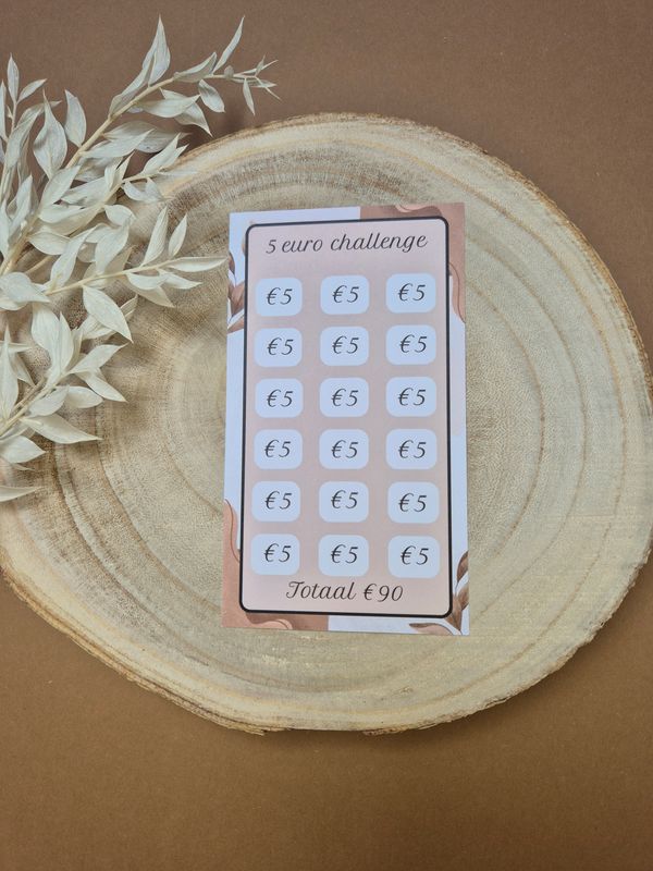 Briefgeld 5 euro challenge bruin