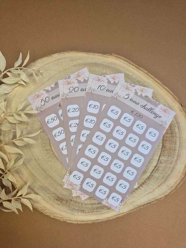 Briefgeld challenge bundel taupe (€5, €10, €20 en €50)
