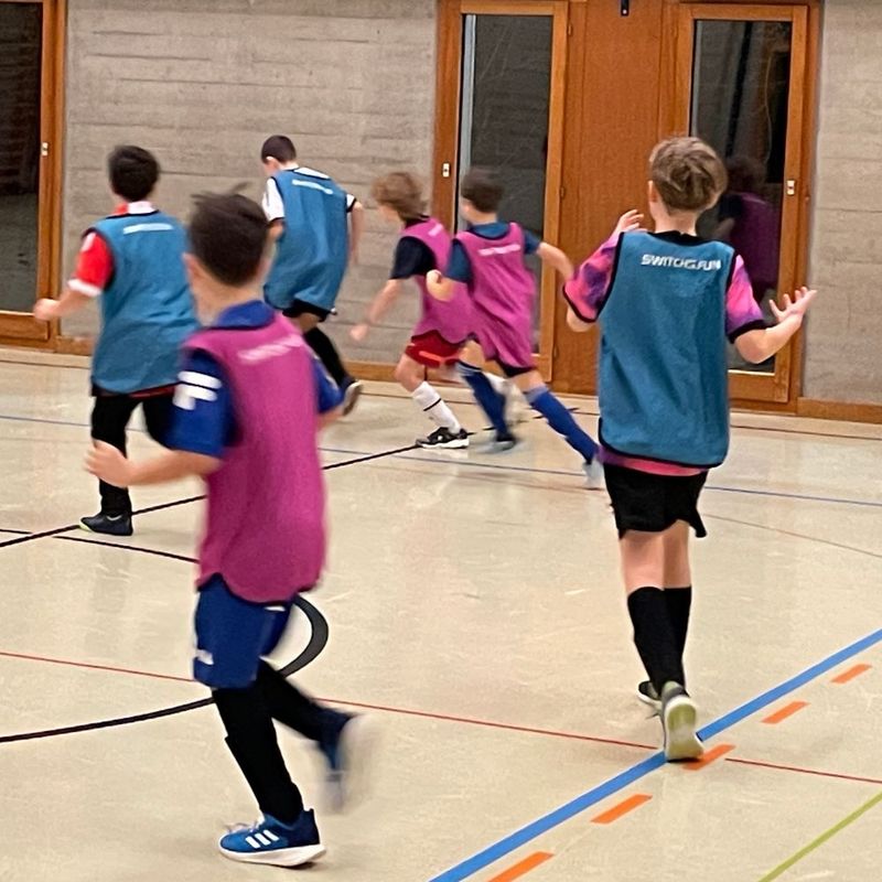 WENDESHIRT SET22 in Pink &amp; Blue