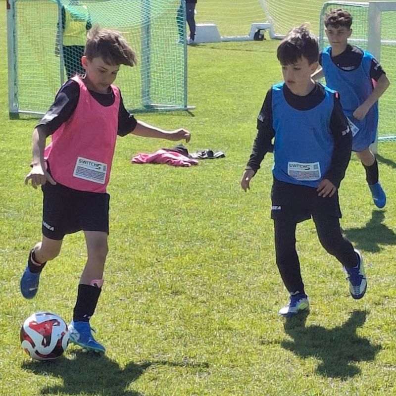 WENDESHIRT SET14 in Pink &amp; Blue