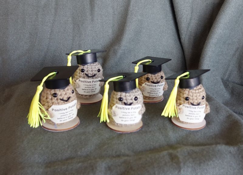 Positive Potato Graduate